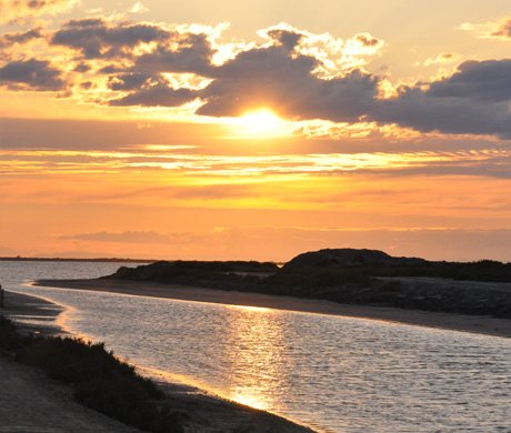 coucher de soleil sur les marais- photo : Rhinoferos